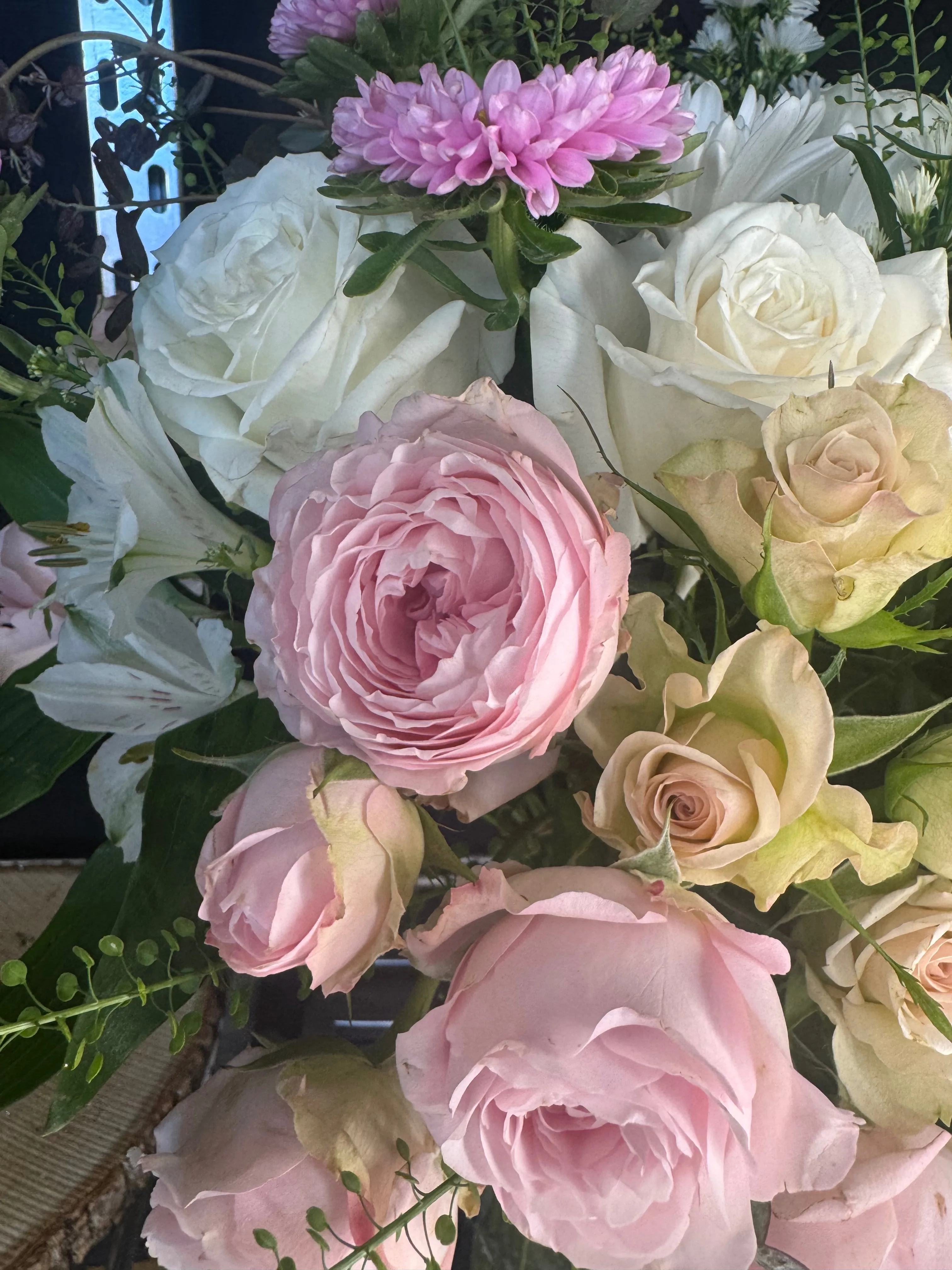 Featured flowers Featured flowers