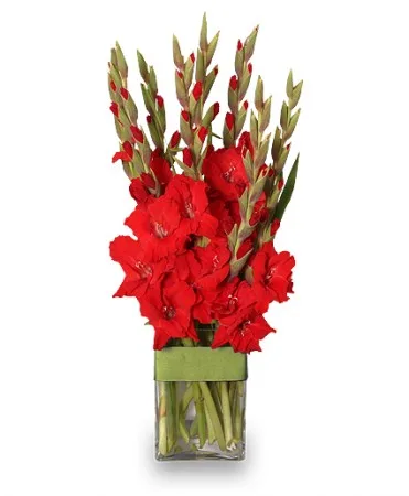 Glad You're My Dad Gladiolus Vase Glad You're My Dad Gladiolus Vase