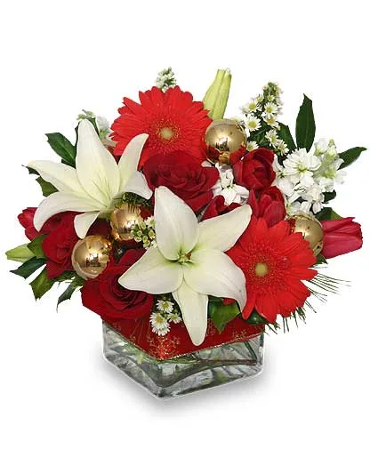 DECEMBER DREAMS Arrangement DECEMBER DREAMS Arrangement