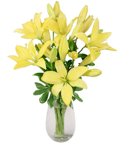 DEL SOL Lily Bouquet DEL SOL Lily Bouquet