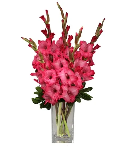 FILLED WITH GLADNESS Gladiolus Bouquet FILLED WITH GLADNESS Gladiolus Bouquet