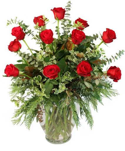 Joys of the Holiday Christmas Roses Joys of the Holiday Christmas Roses
