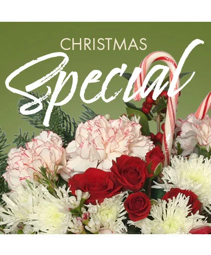 Christmas Special Designer's Choice Christmas Special Designer's Choice
