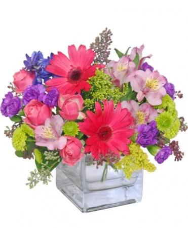 Razzle Dazzle Bouquet of Flowers Razzle Dazzle Bouquet of Flowers