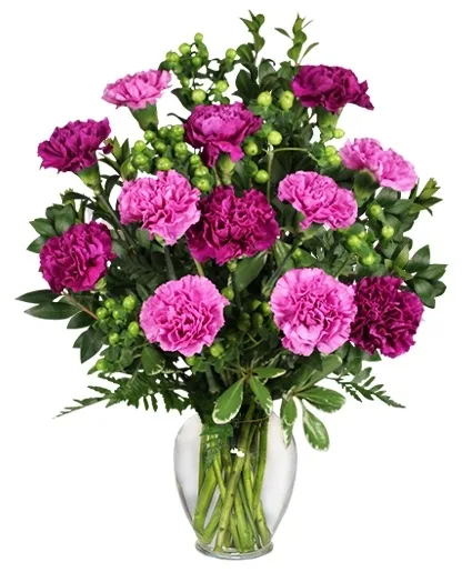 PUMP UP THE PURPLE Carnation Bouquet PUMP UP THE PURPLE Carnation Bouquet