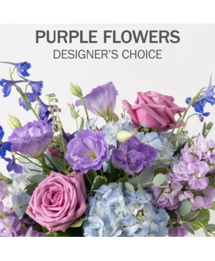 Shades Of Purple Designers Choice