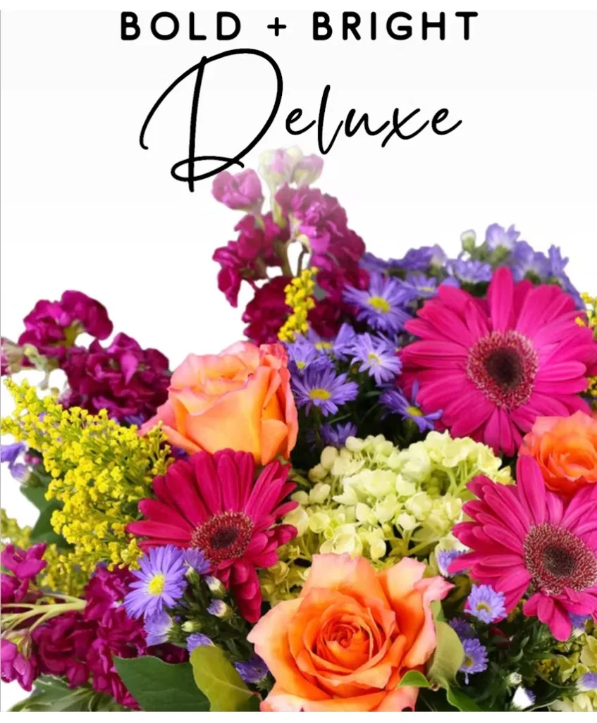 Bold & Bright Designers Choice Arrangement Bold & Bright Designers Choice Arrangement