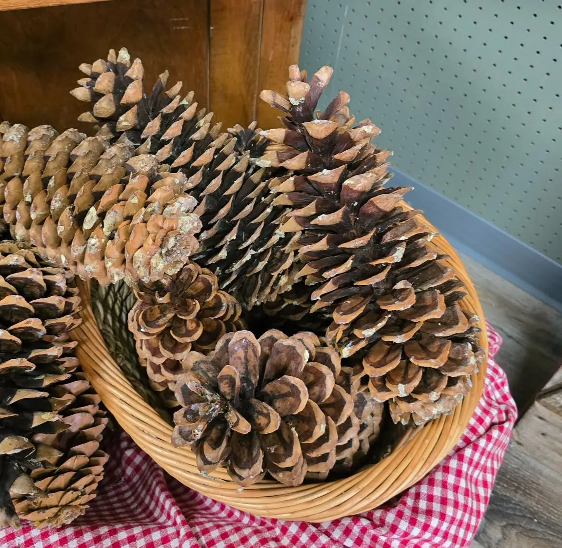 Large Pinecones Size (approx. 13in) Large Pinecones Size (approx. 13in)