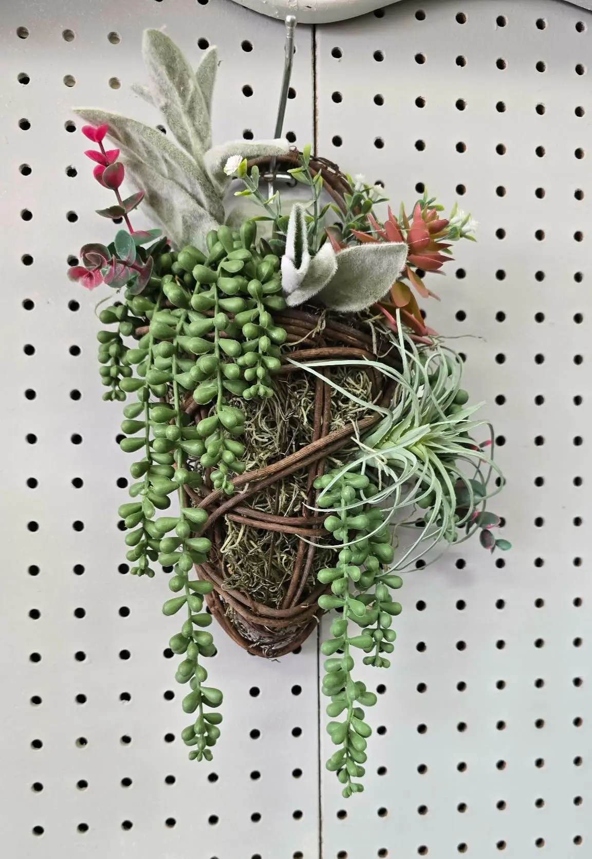 Succulent V Basket Succulent V Basket