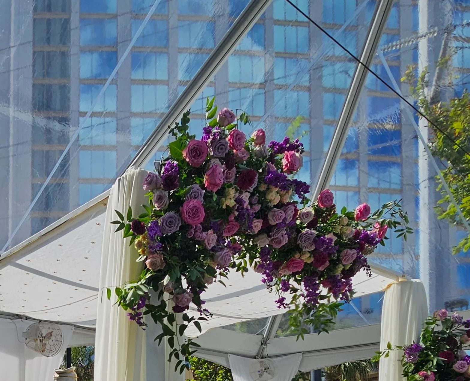 Featured flowers