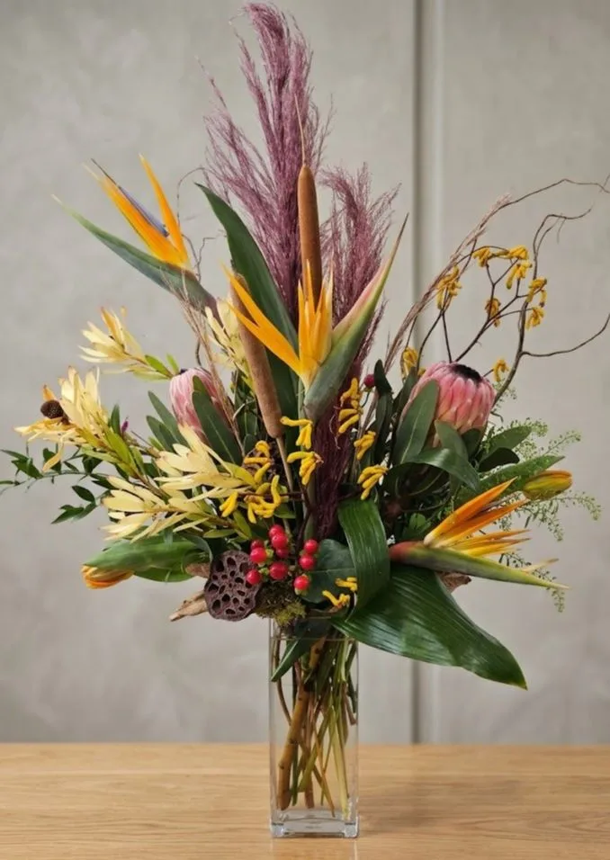 Tropicals in Fall Tropicals in Fall
