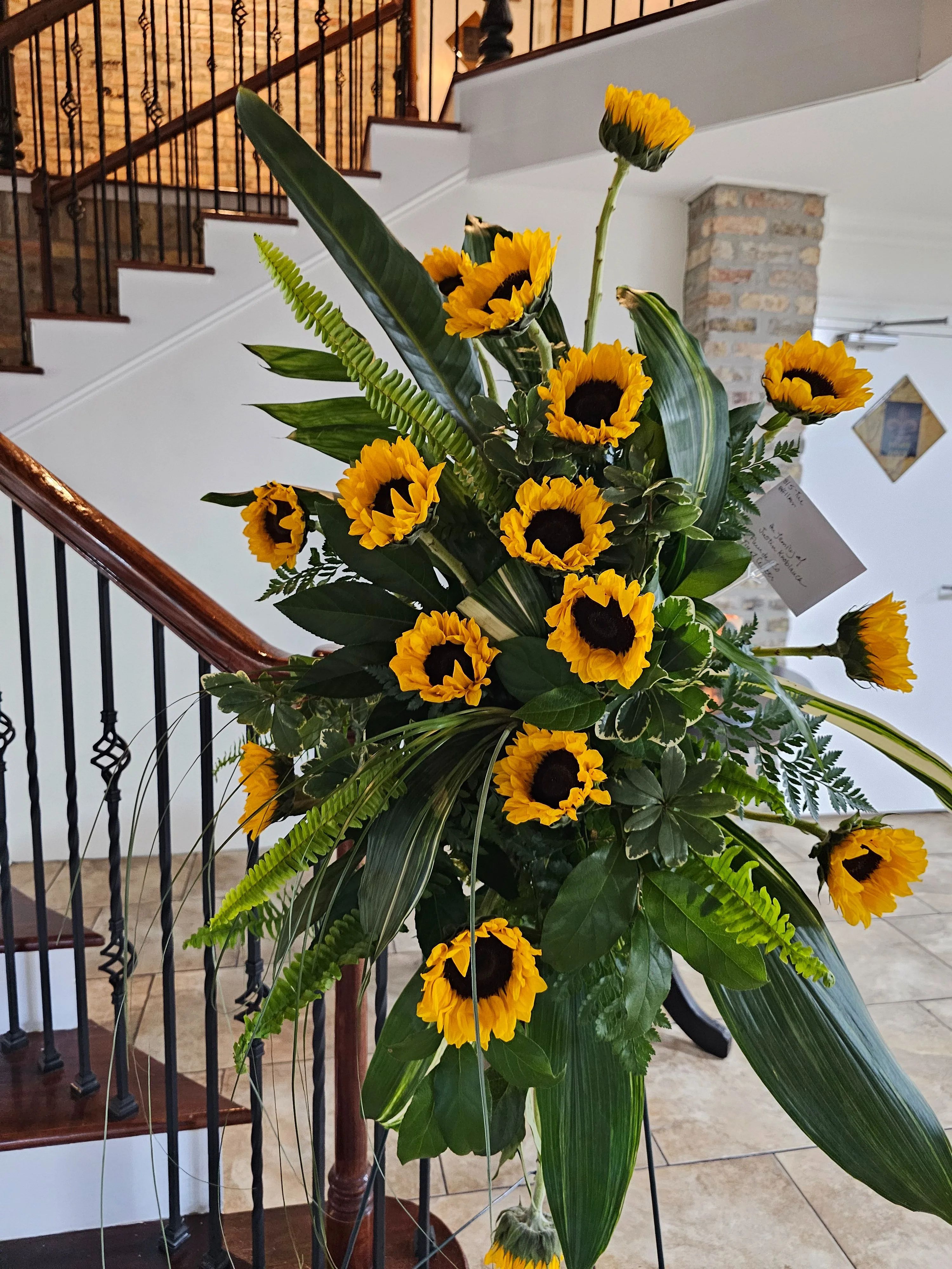 Rays of Sunshine