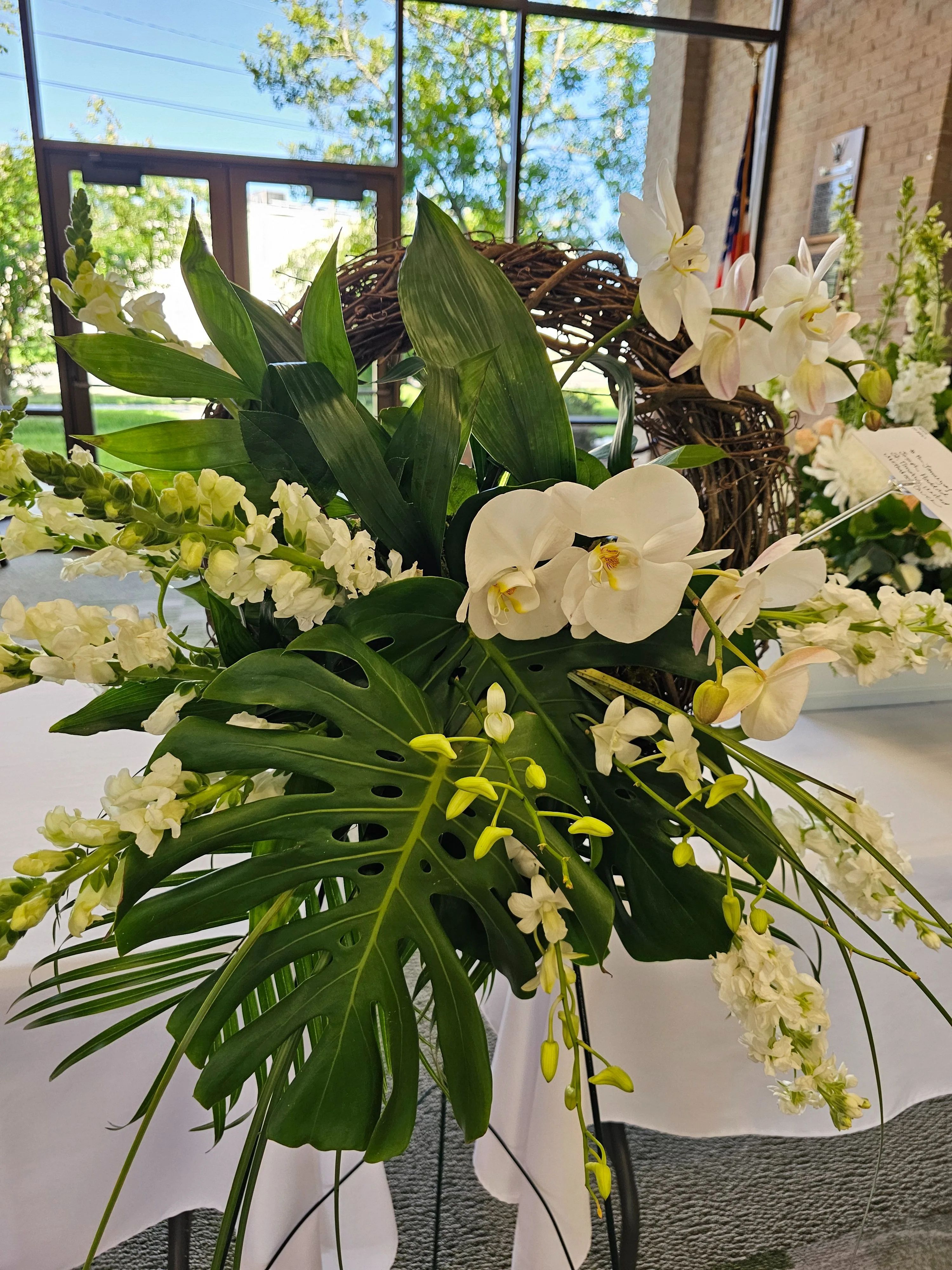 Orchid Oppulence
