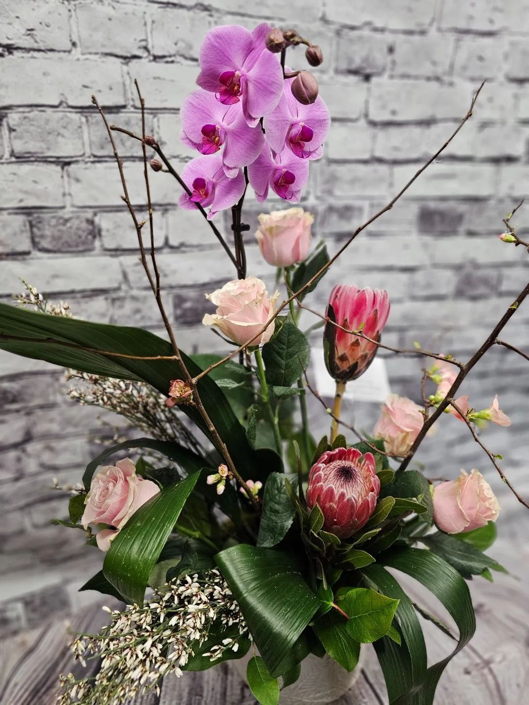 Elegant orchid