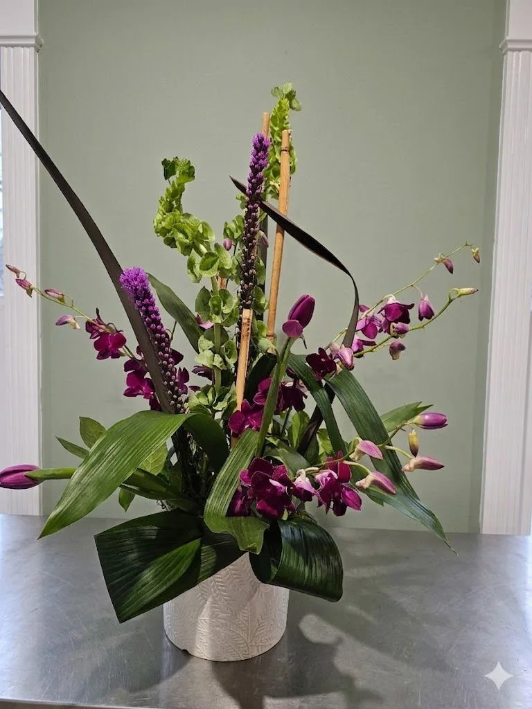 Orchid Oasis Orchid Oasis