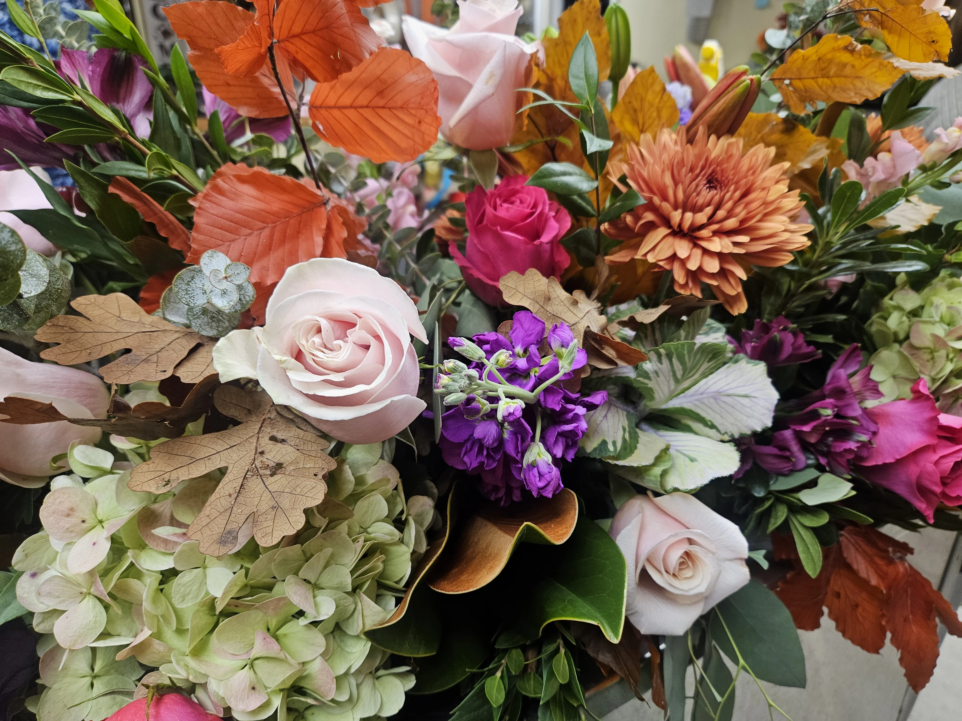Featured flowers Featured flowers