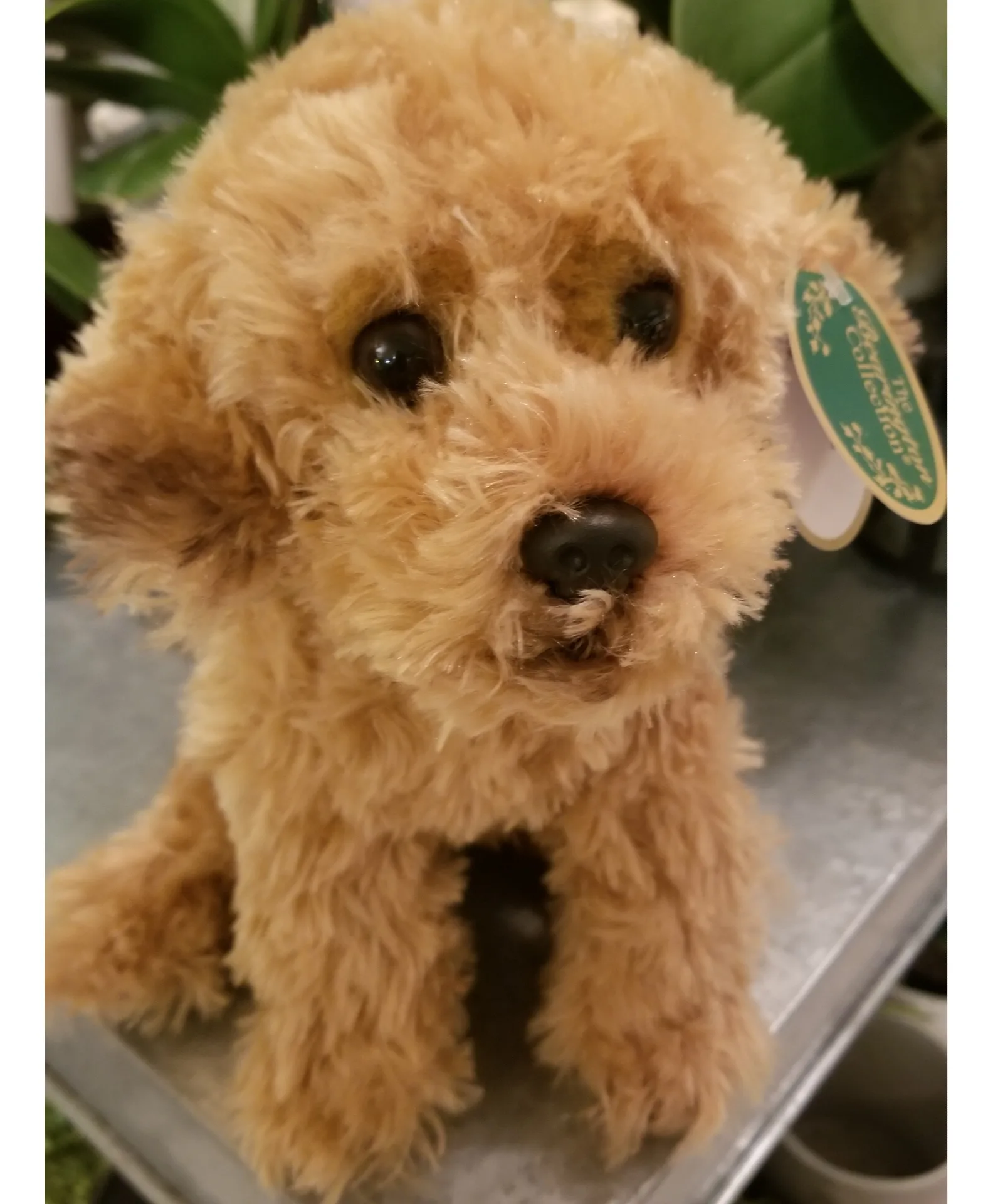 Doodle The Bearington Collection Doodle The Bearington Collection