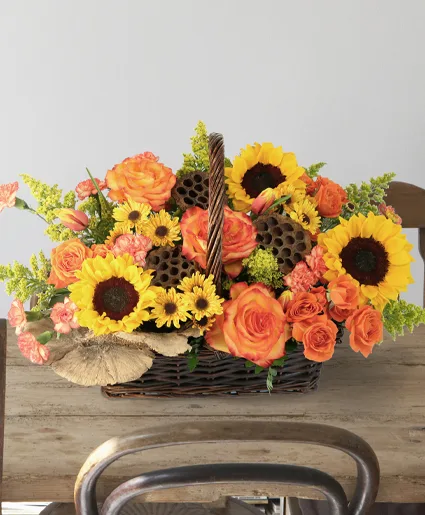 Crisp Autumn Morning Lifestyle Arrangement Crisp Autumn Morning Lifestyle Arrangement
