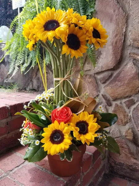 Sunflower topiary fresh flowers Sunflower topiary fresh flowers