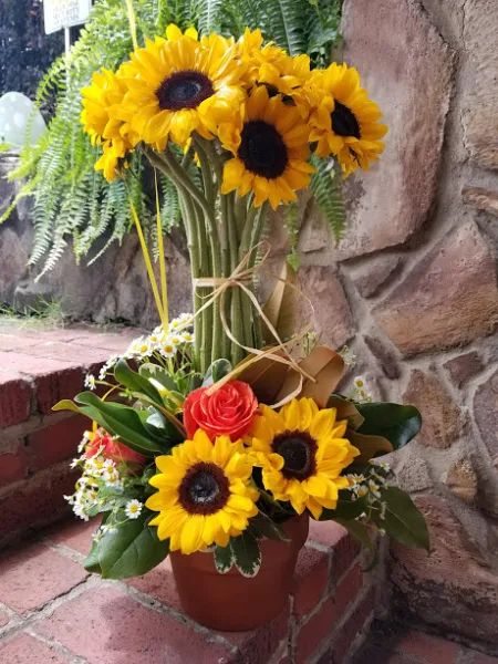 Sunflower topiary fresh flowers