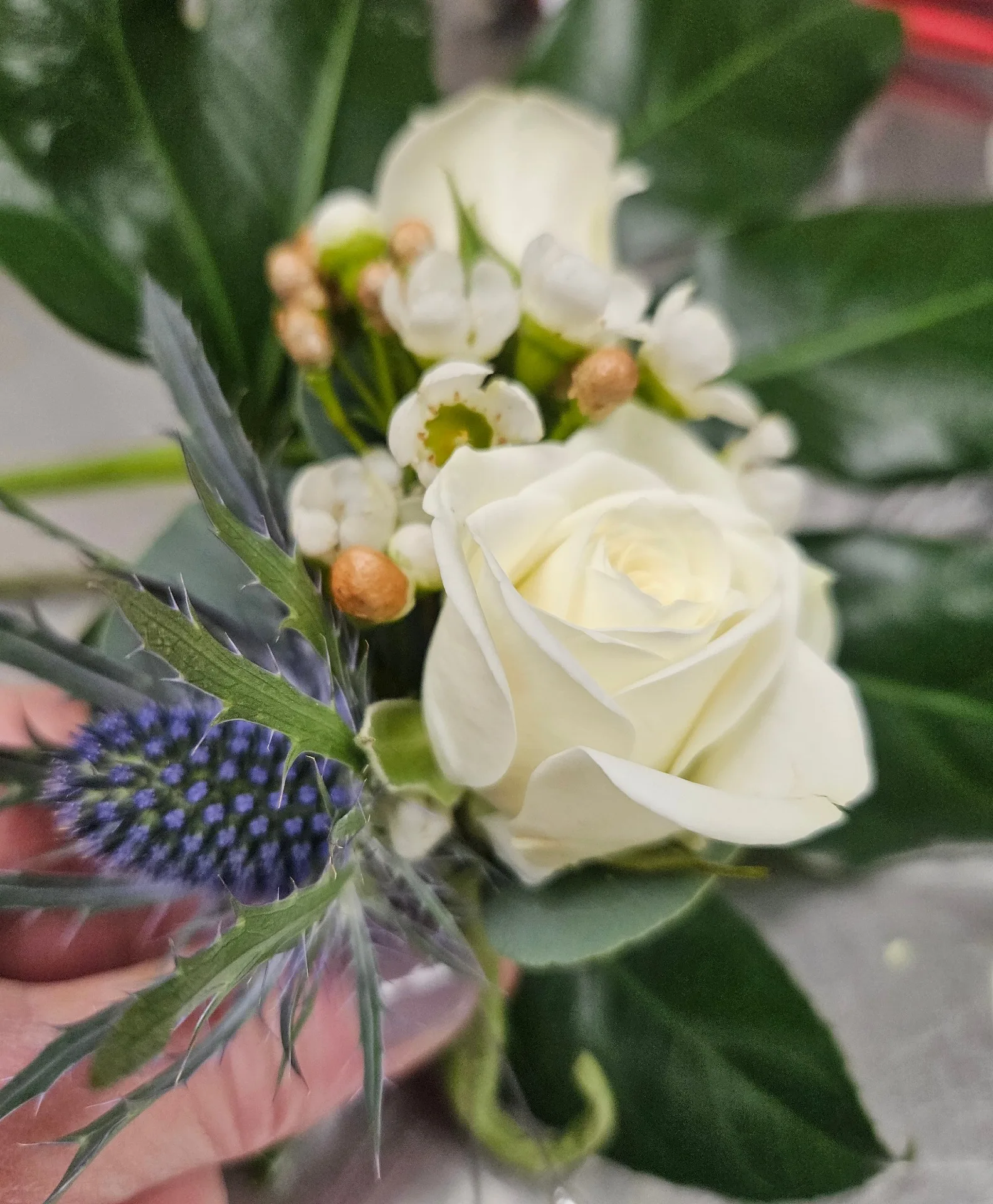 Rose and thistle Boutonniere Rose and thistle Boutonniere
