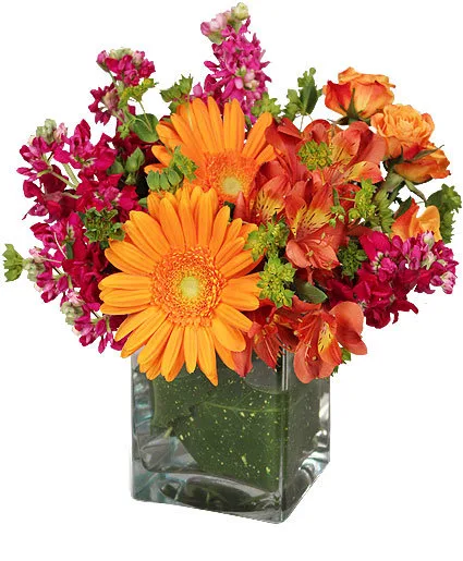 Floral Exuberance Arrangement Floral Exuberance Arrangement