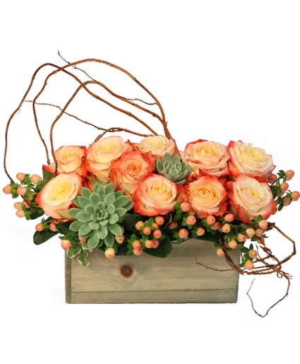 Lover's Sunrise Modern Arrangement Lover's Sunrise Modern Arrangement