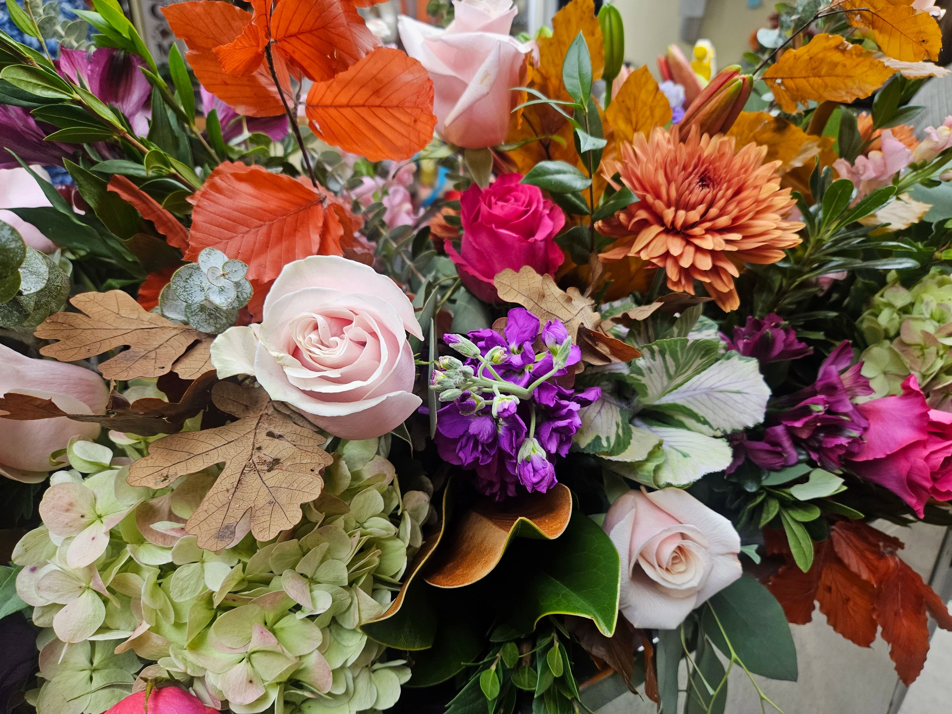 Featured flowers