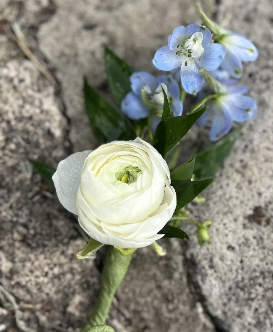Little blooms with blue Boutonniere Little blooms with blue Boutonniere