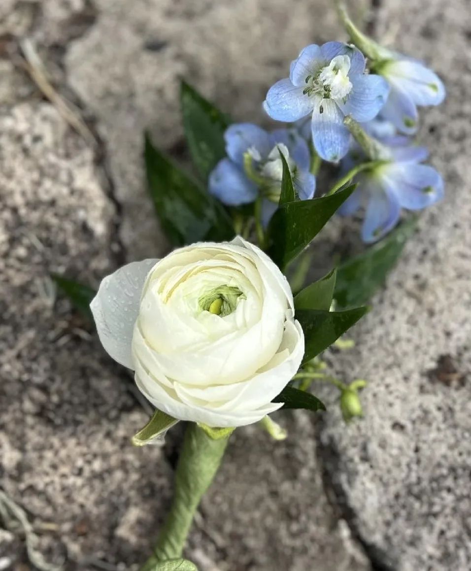 Little blooms with blue Boutonniere