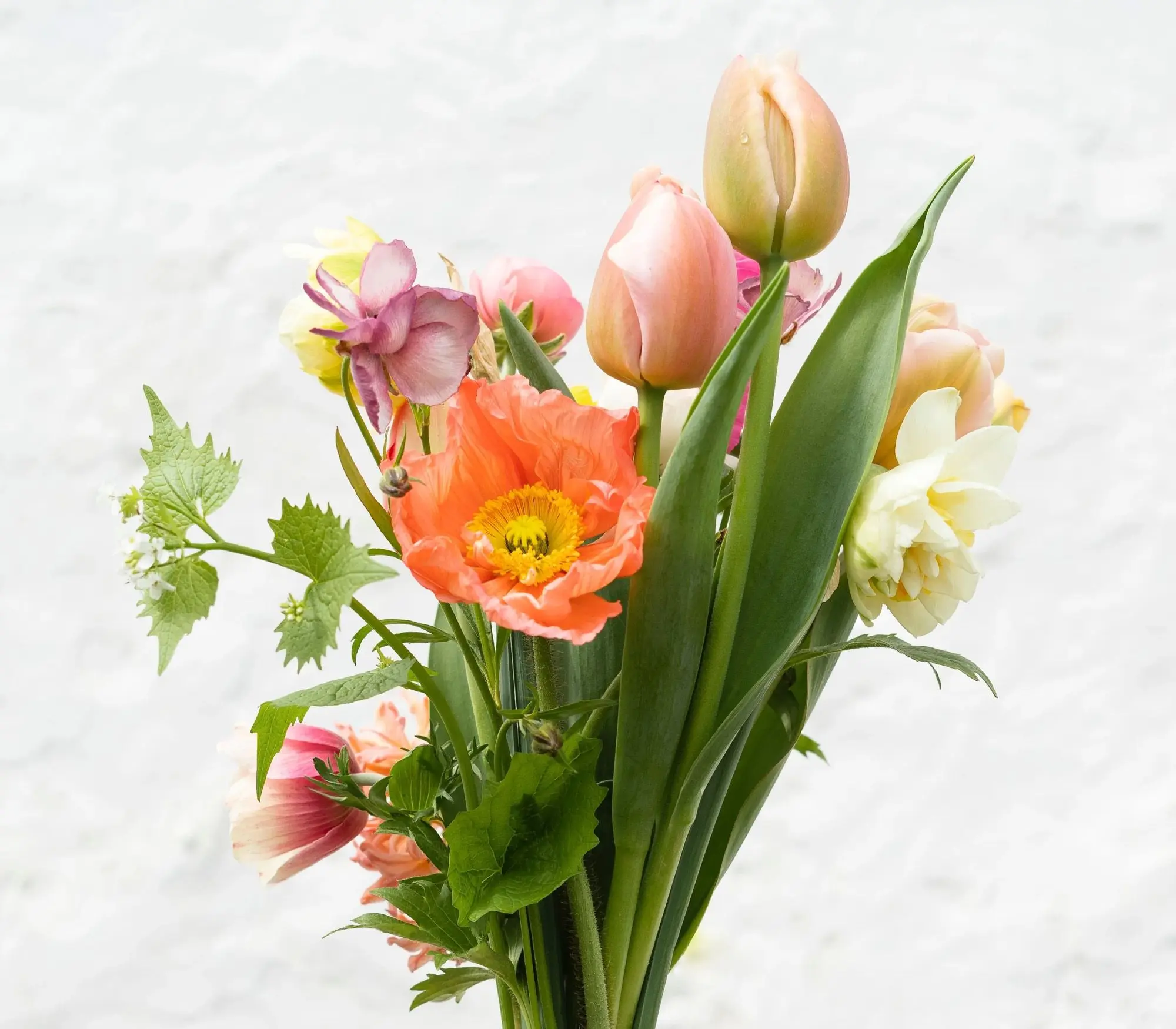 Flower shop image Flower shop image