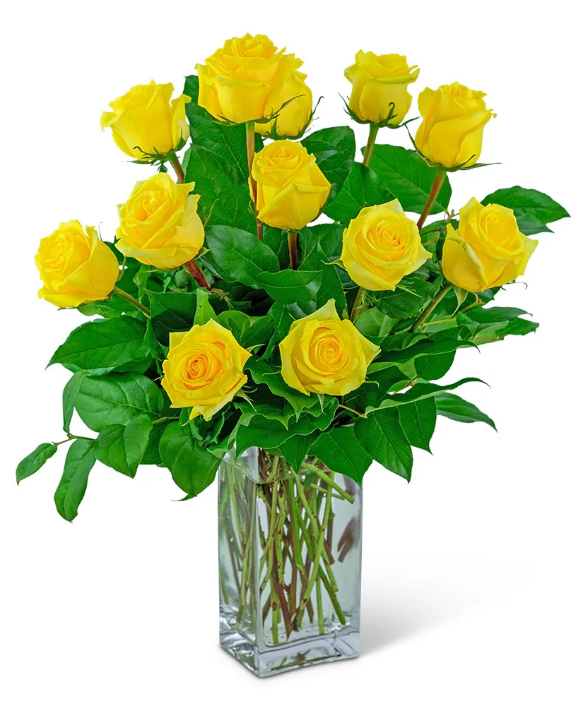 Yellow Roses (12) Flower Arrangement Yellow Roses (12) Flower Arrangement