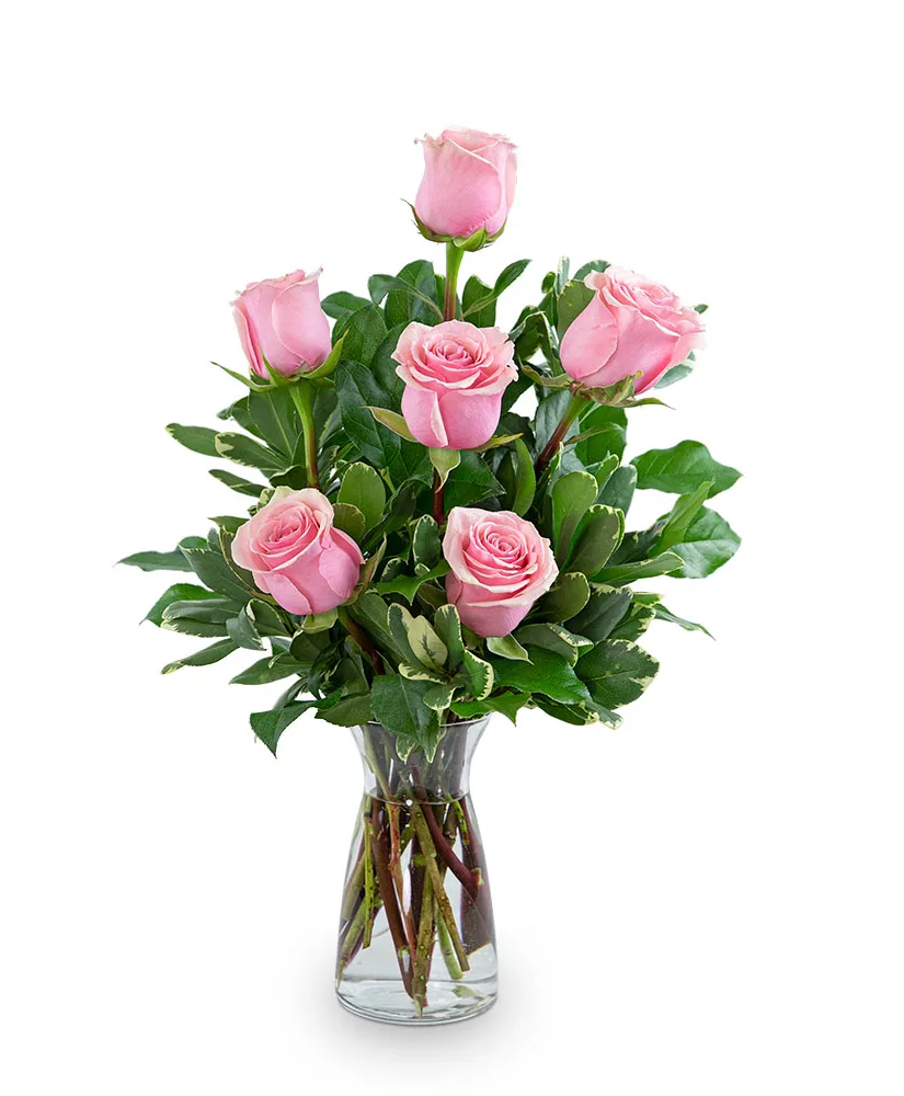 Pink Roses (6) Flower Arrangement Pink Roses (6) Flower Arrangement