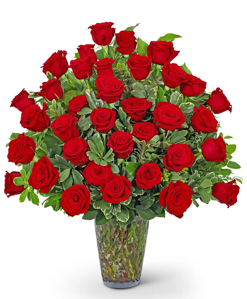 Three Dozen Elegant Red Roses Flower Arrangement Three Dozen Elegant Red Roses Flower Arrangement