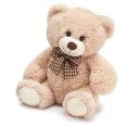 Medium Plush Bear image