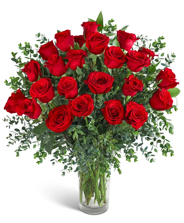 Two Dozen Red Hot Roses Flower Arrangement Two Dozen Red Hot Roses Flower Arrangement