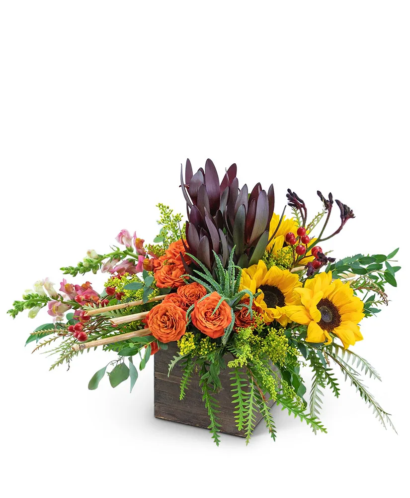 Eye of the Tiger Flower Arrangement Eye of the Tiger Flower Arrangement