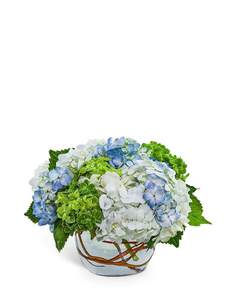 Dreamy Hydrangea Flower Arrangement Dreamy Hydrangea Flower Arrangement