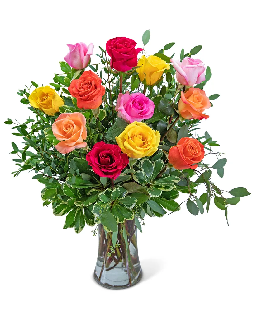 One Dozen Vibrant Roses Flower Arrangement One Dozen Vibrant Roses Flower Arrangement
