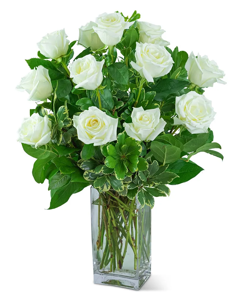 White Roses (12) Flower Arrangement White Roses (12) Flower Arrangement