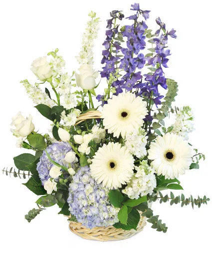 Blue Bundles of Joy Basket Arrangement Blue Bundles of Joy Basket Arrangement