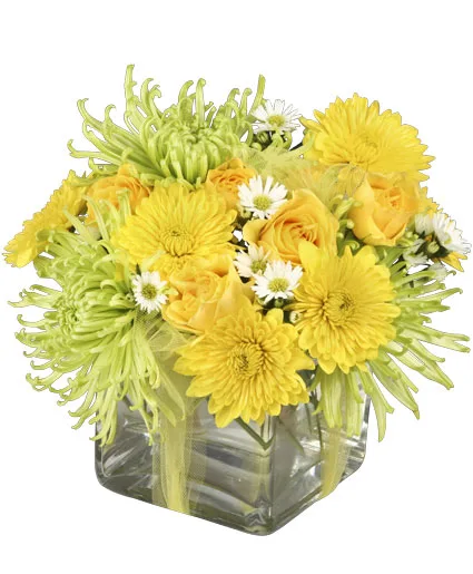 Lemon-Lime Zest Arrangement Lemon-Lime Zest Arrangement