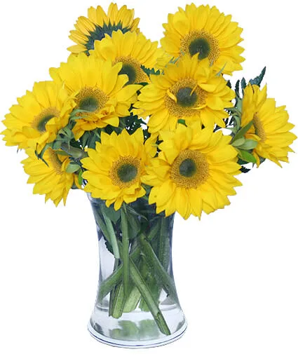 Hello Sunshine! Vase of Flowers Hello Sunshine! Vase of Flowers