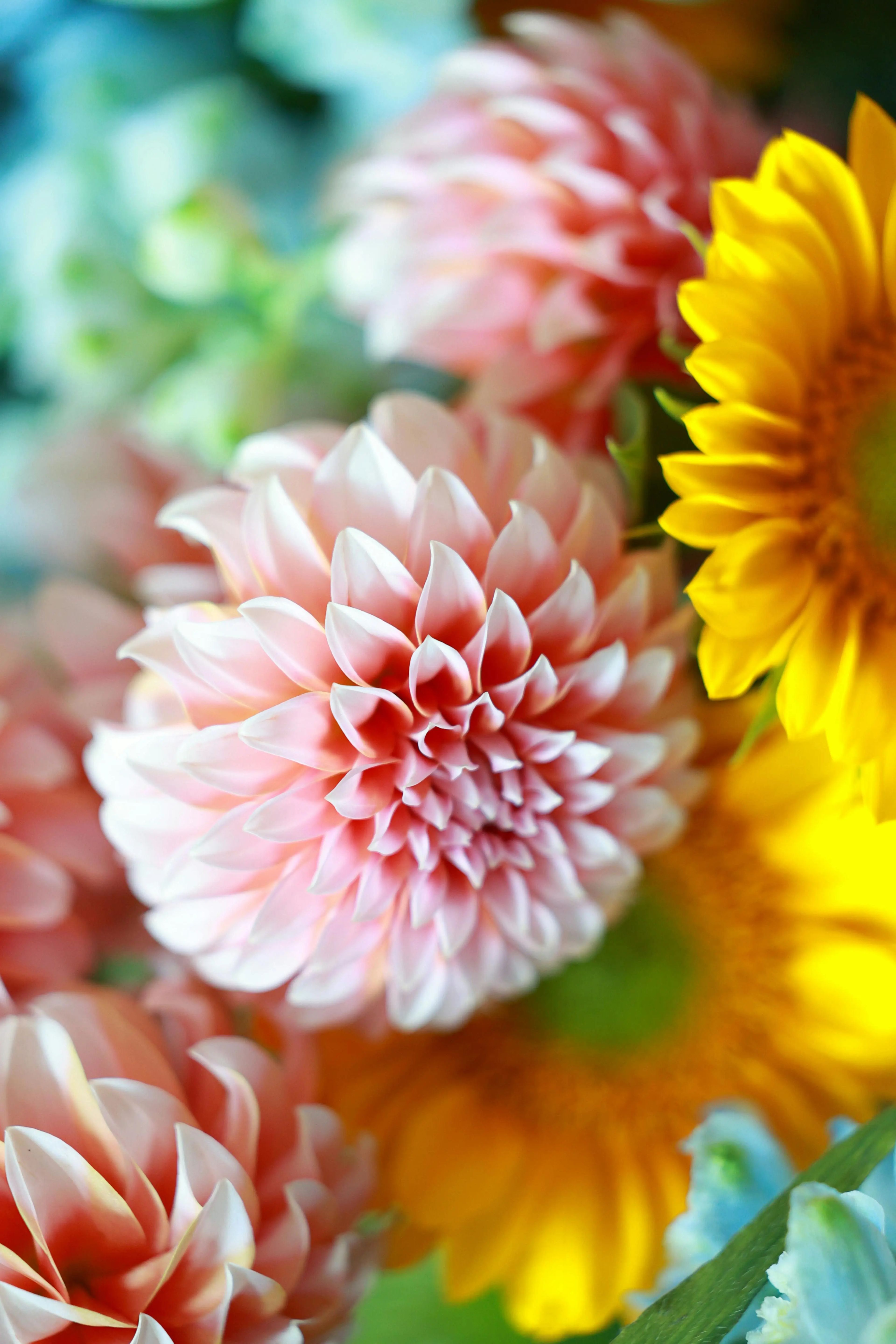 Flower shop image