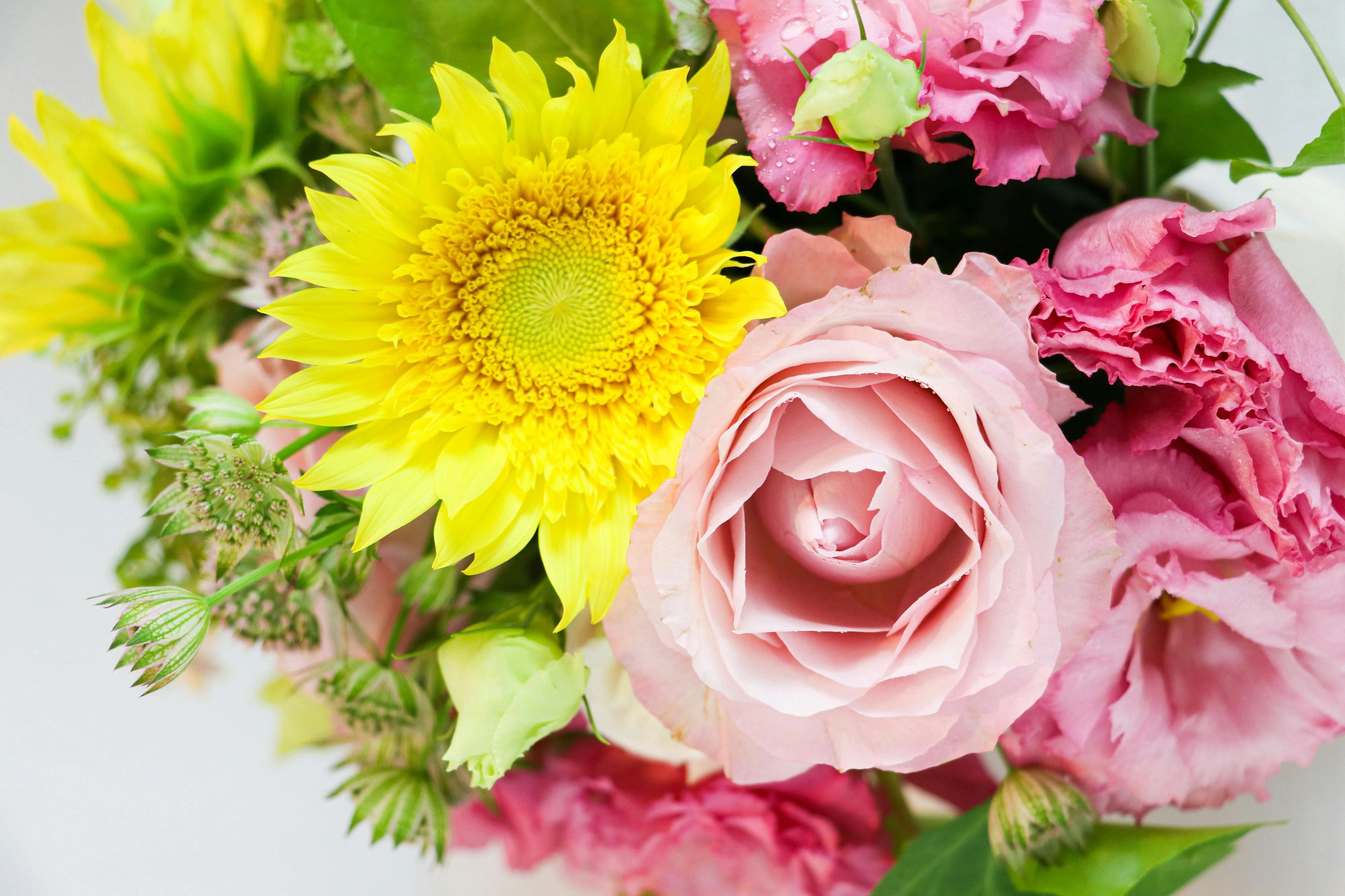 Featured flowers