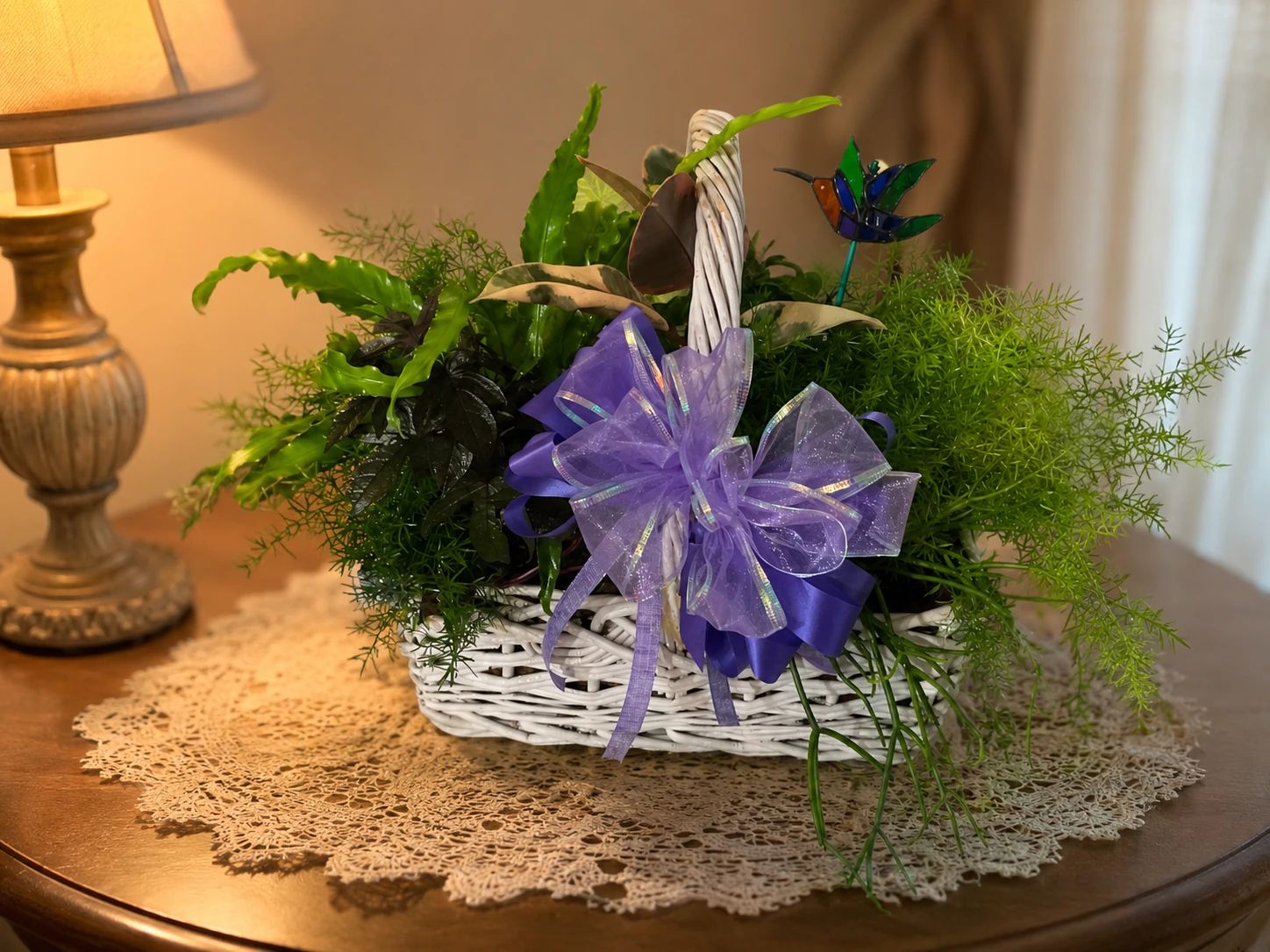 Plants collection