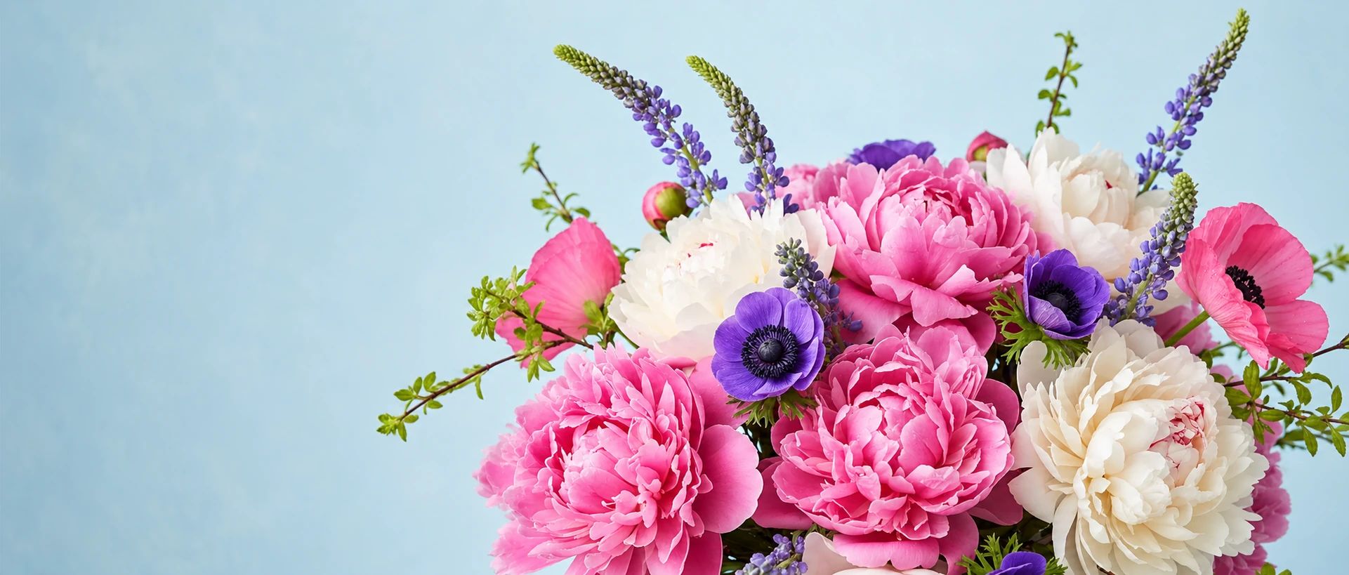 Featured flowers