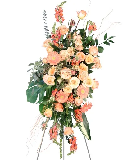 Peach Compassion Standing Spray Peach Compassion Standing Spray