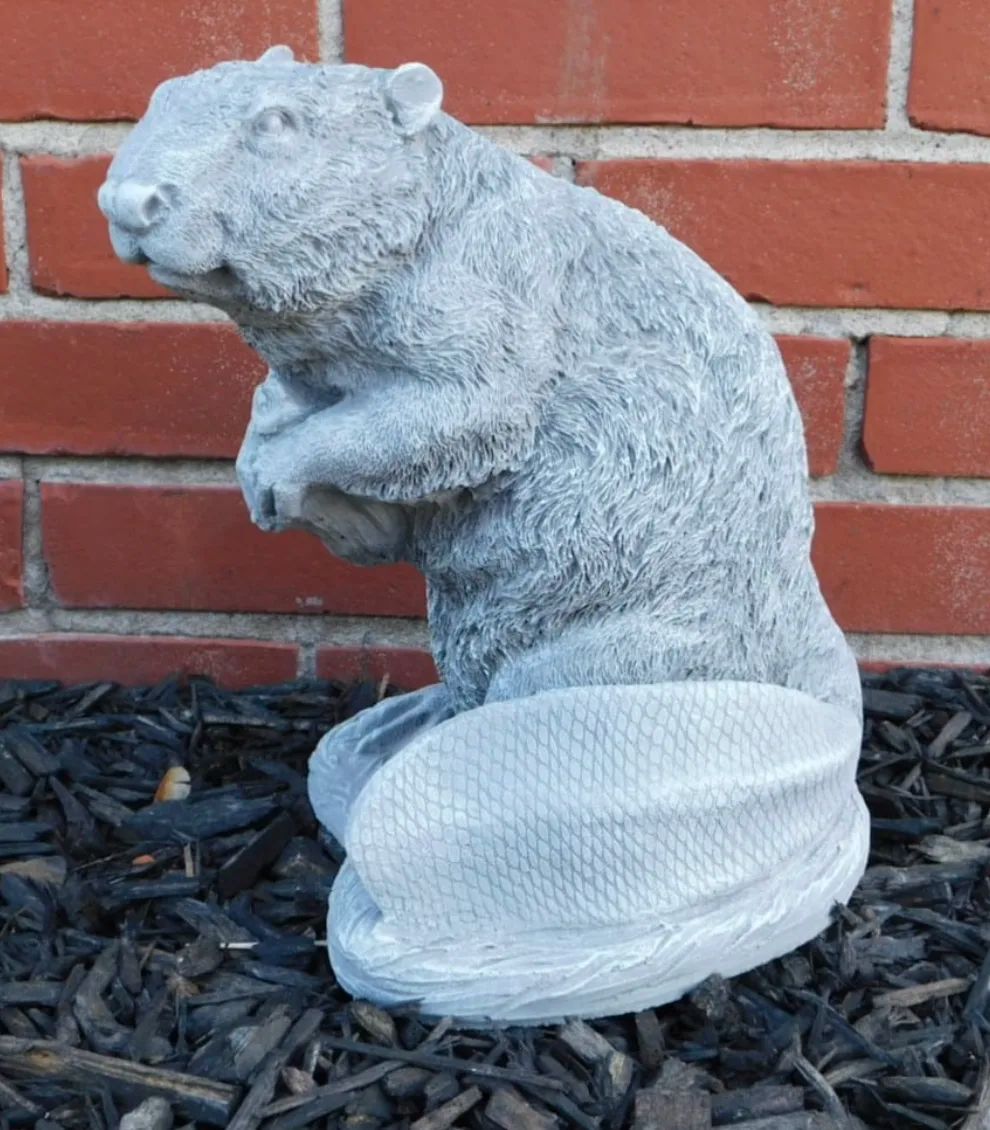Beaver
