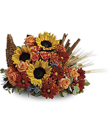 Sunflower & Spice Cornucopia Sunflower & Spice Cornucopia